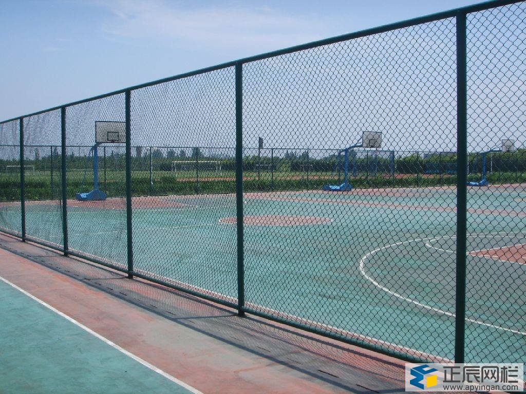 籃球場(chǎng)圍網(wǎng)效果圖