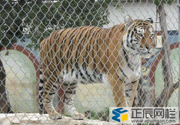 老虎護欄勾花網(wǎng)