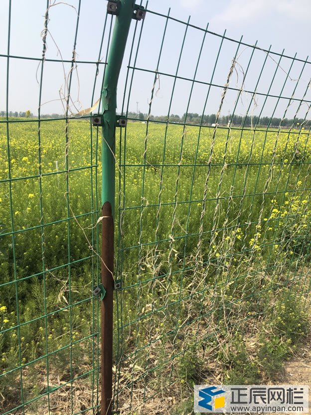 護欄網(wǎng)表皮脫落