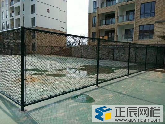 球場框架護(hù)欄網(wǎng)圖片