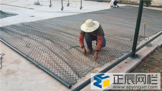 球場框架護(hù)欄網(wǎng)圖片