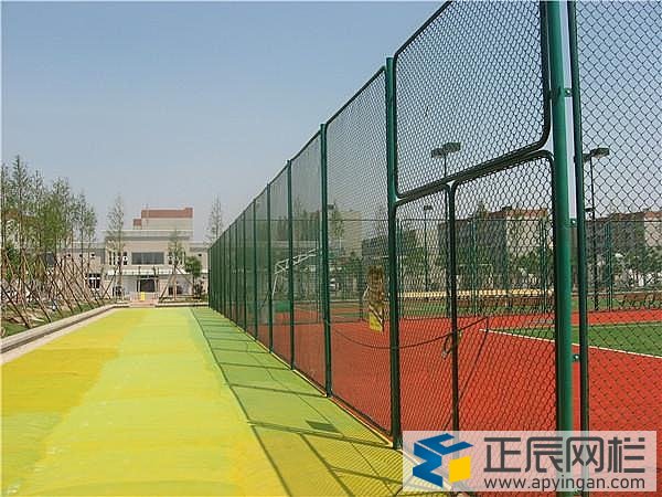 球場框架護(hù)欄網(wǎng)圖片