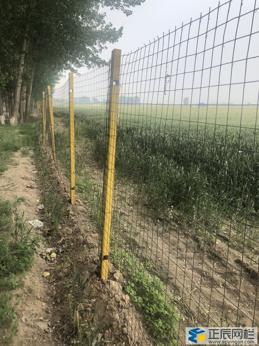 護欄網(wǎng)與玻璃鋼立柱的的結合