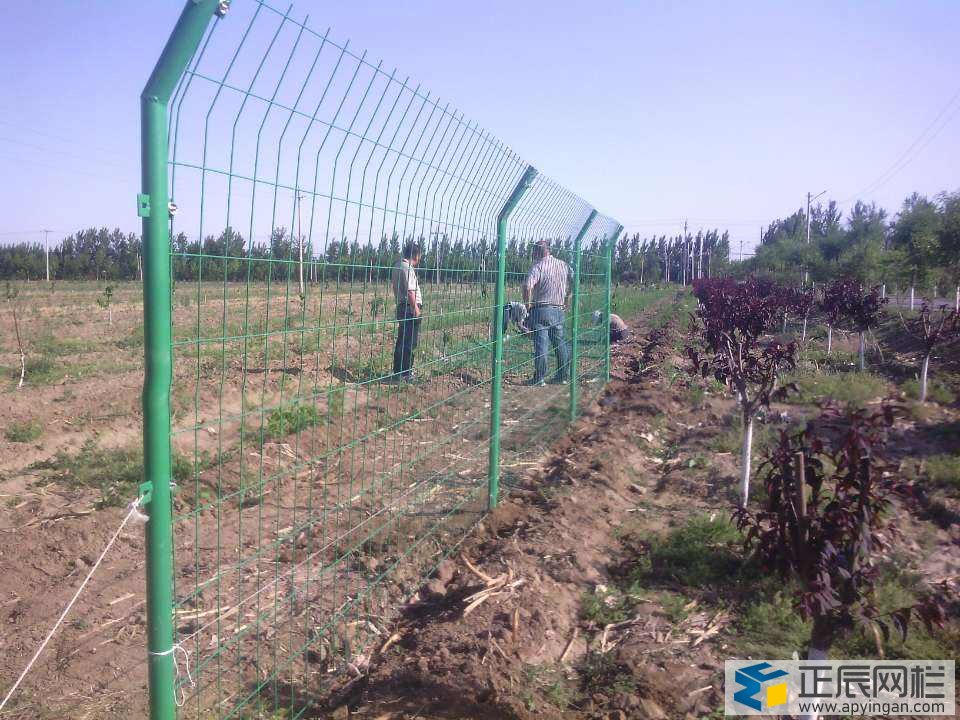 圍欄網(wǎng)片價(jià)格