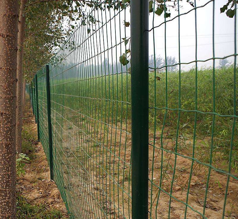 果園護欄網(wǎng)