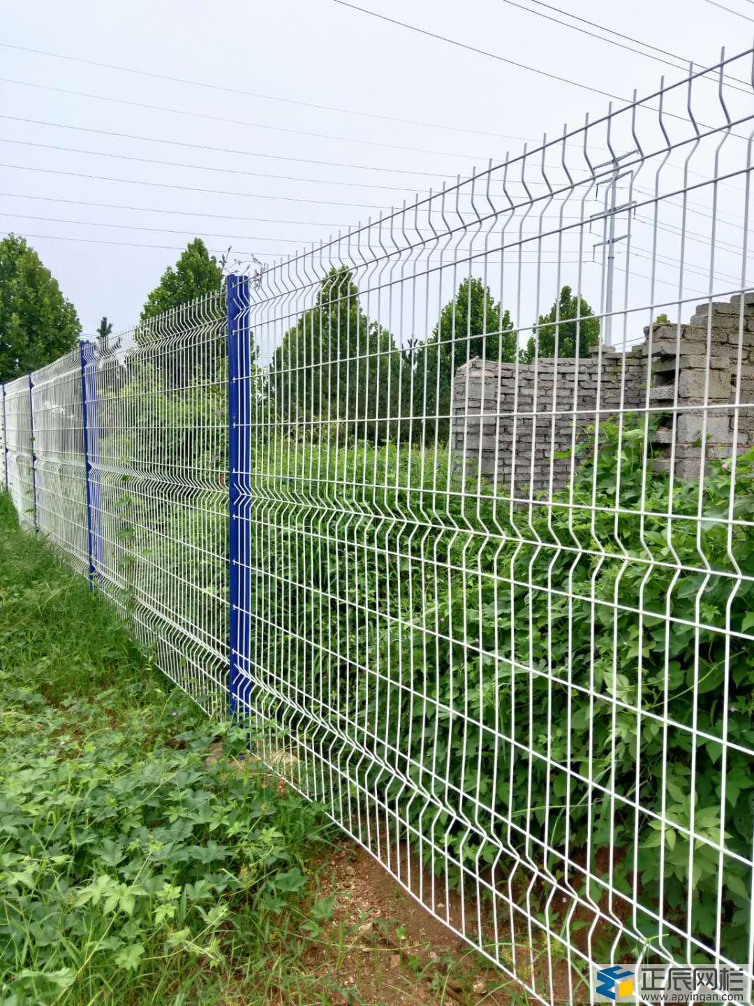 山東桃型柱護欄網(wǎng)