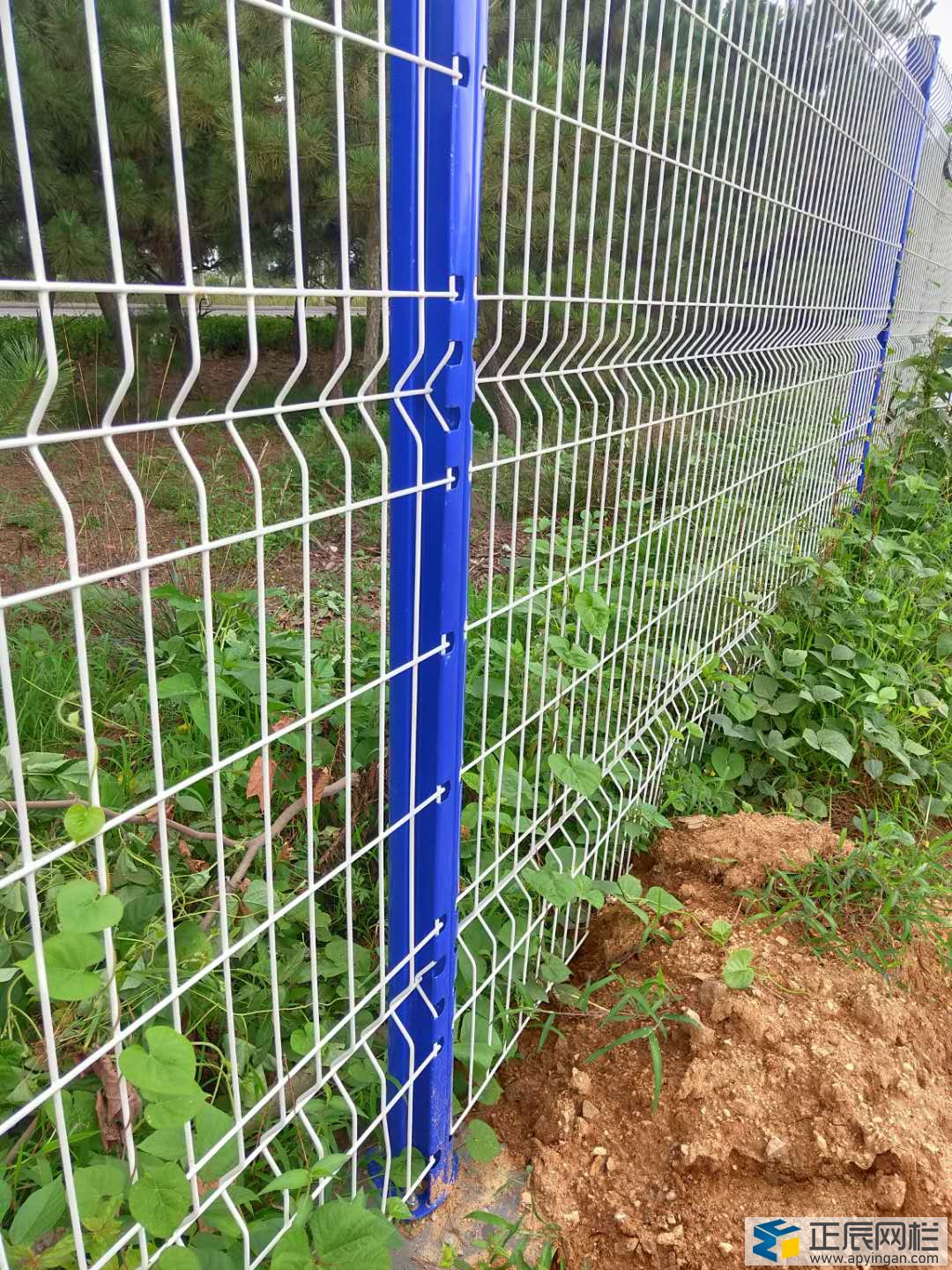 山東桃型柱護欄網(wǎng)