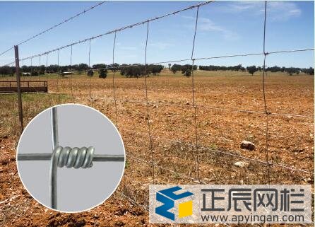 鐵絲網(wǎng)圍欄防護欄圖34