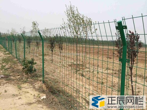 雙邊絲護(hù)欄網(wǎng)