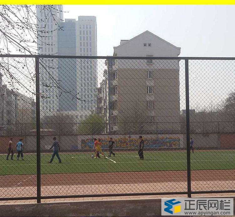 中小學(xué)校園護(hù)欄網(wǎng)