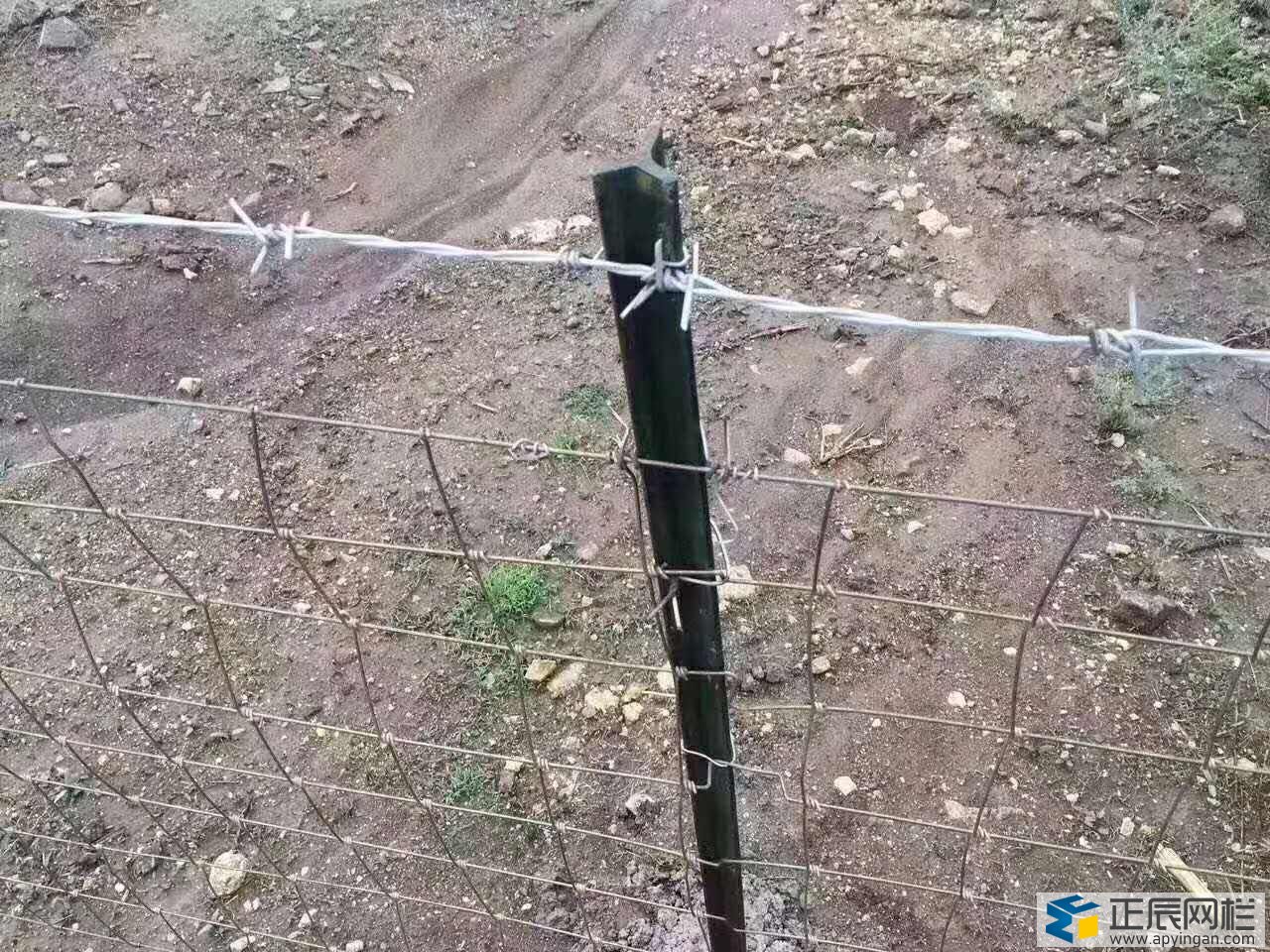 護(hù)欄網(wǎng)