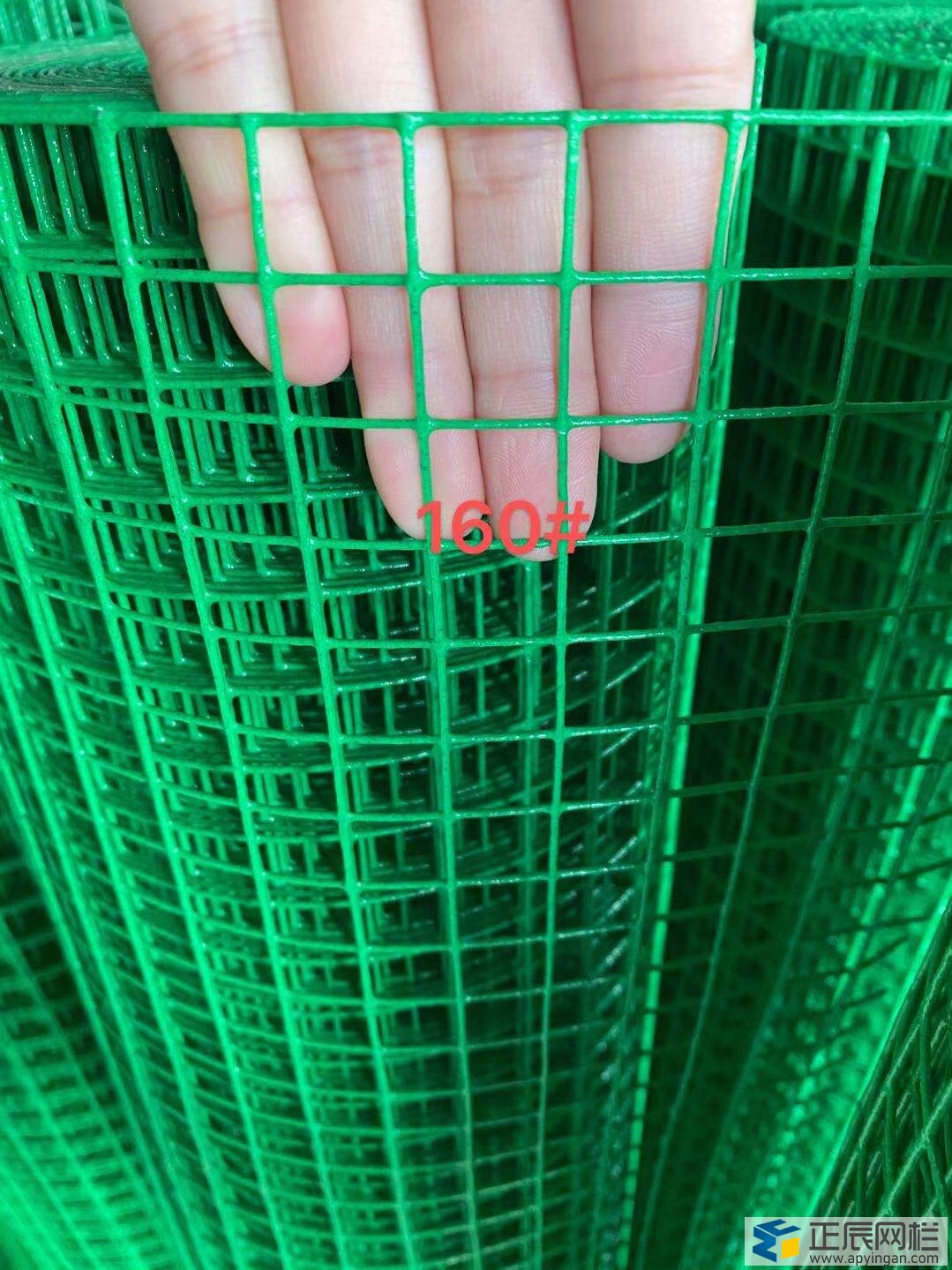 養(yǎng)雞網(wǎng)圍欄