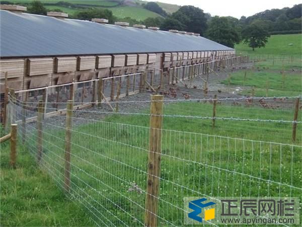 養(yǎng)殖護欄網(wǎng)