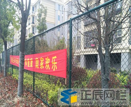 一米的護(hù)欄網(wǎng)多少錢(qián)？