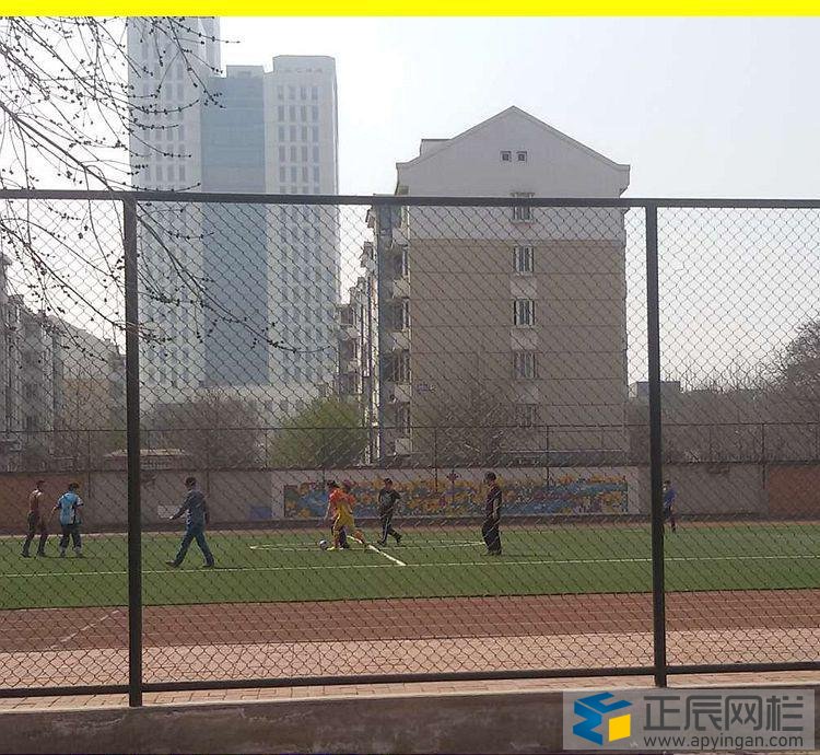 球場圍網(wǎng)