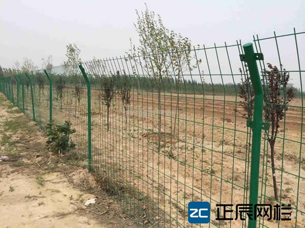 果園護欄網(wǎng)