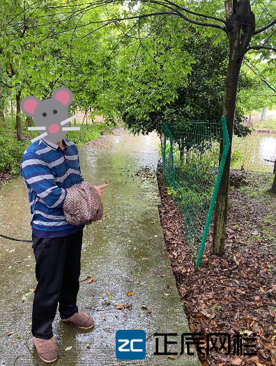 偷盜護欄網(wǎng)