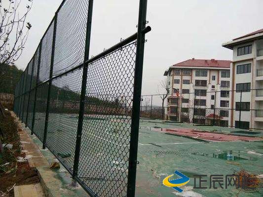 專業(yè)的球場圍欄網(wǎng)廠家